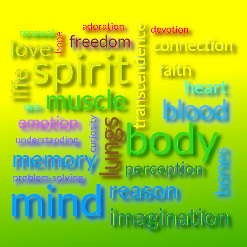 Graphic Illustration